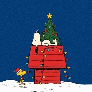 Meet your Posher, Kat